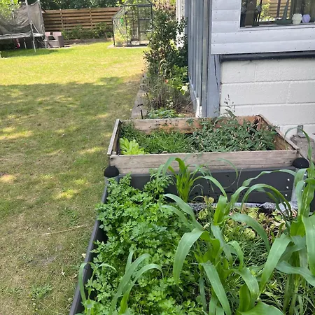 Sommerhus *